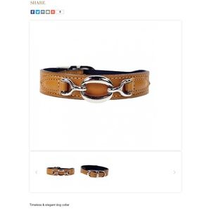 Hartman and Rose dog collar